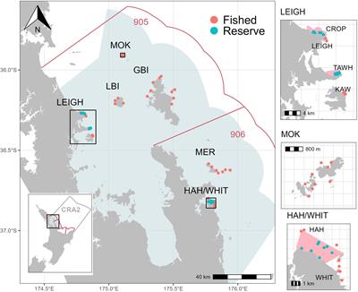 Using marine protected areas to assess the status and recovery of the spiny lobster Jasus edwardsii fishery in the Hauraki Gulf, Aotearoa New Zealand